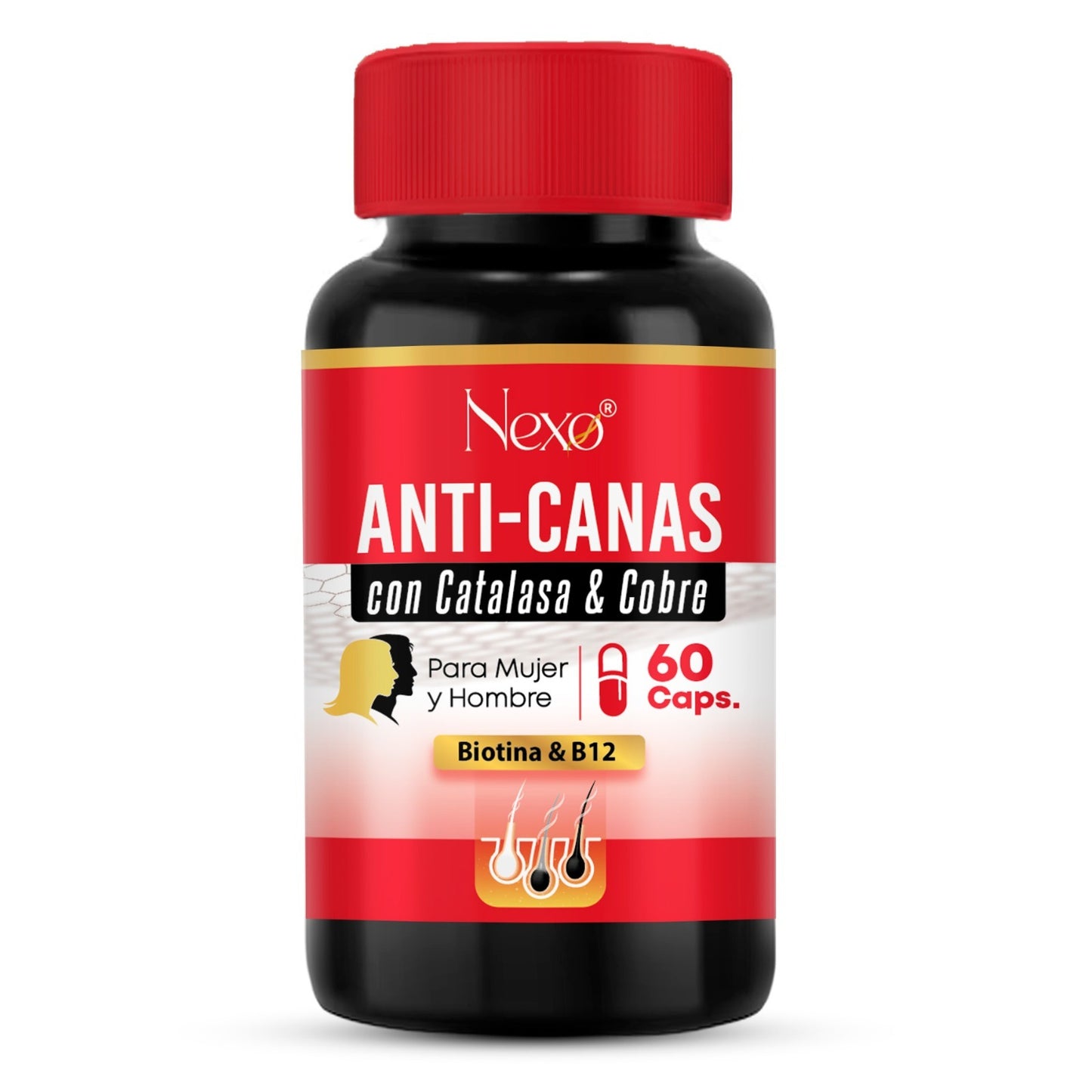 ANTICANAS NEXO