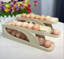 ORGANIZADOR DE HUEVOS