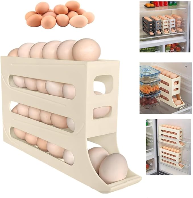 ORGANIZADOR DE HUEVOS