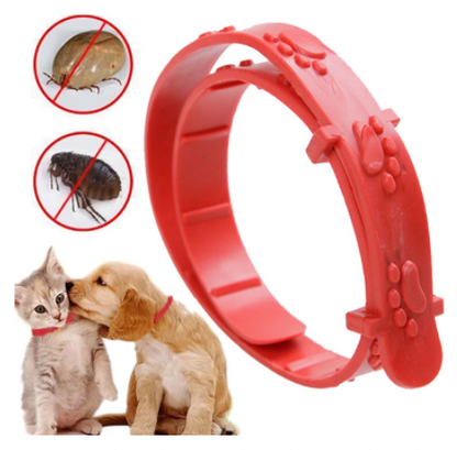 NUEVO COLLAR ANTIPULGAS Y GARRAPATAS PARA PERROS Y GATOS